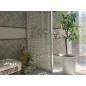 HDF Perforatia LILY
